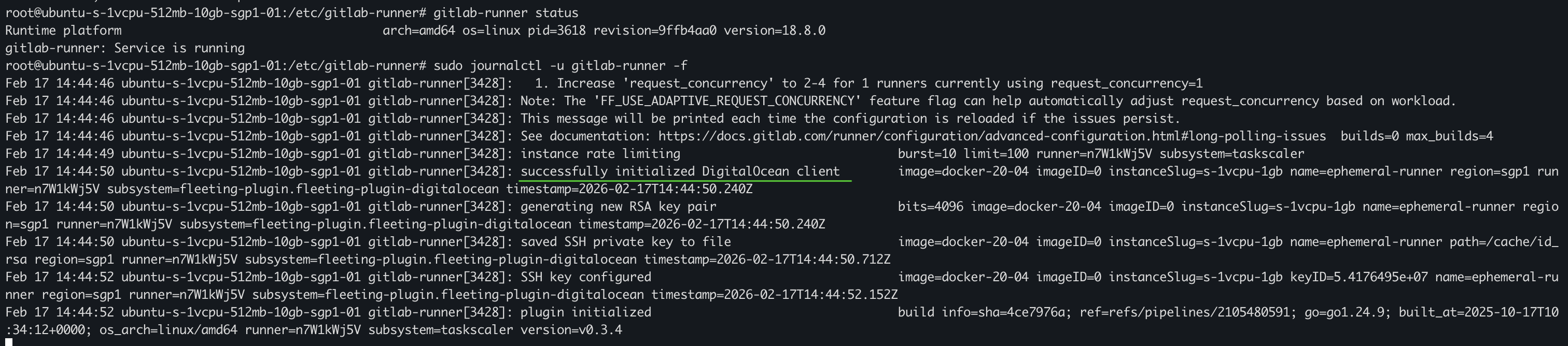 verify-runner-is-running