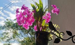 Featured image of post เทียบประสิทธิภาพของ slice แบบ กำหนดและไม่กำหนดความจุ (Capacity)