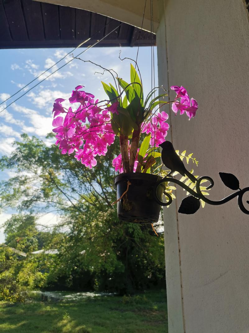 Featured image of post เทียบประสิทธิภาพของ slice แบบ กำหนดและไม่กำหนดความจุ (Capacity)